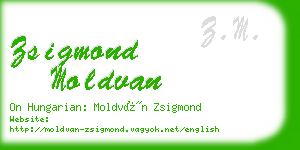 zsigmond moldvan business card